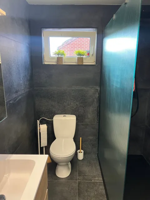 Espace WC aux murs carrelés foncés, avec fenêtre et bord du meuble vasque.